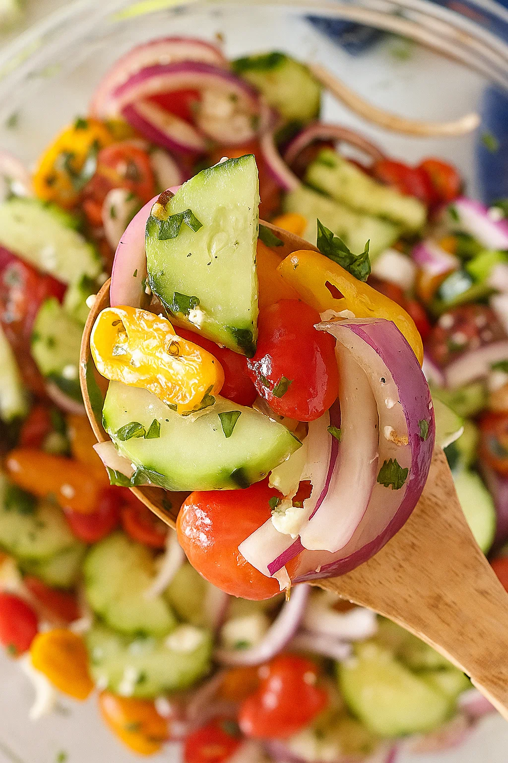 A spoon scooping fresh cucumber tomato salad with herbs